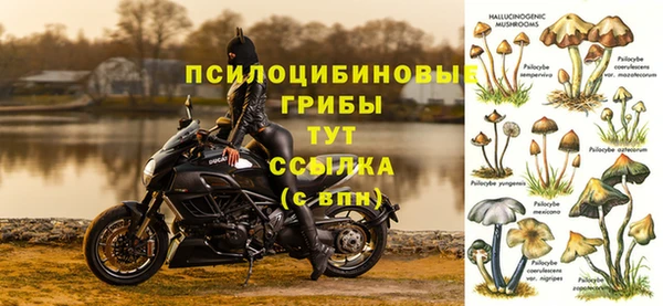 скорость Алексеевка